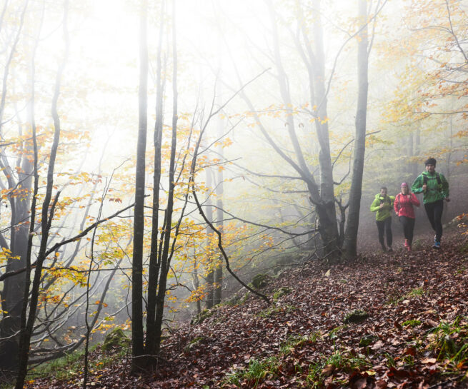 Fotografia di gruppo di ragazzi che praticano trailrunning nel bosco. Scatto realizzato per Polygiene dal fotografo sportivo duzimage di David Umberto Zappa, fotografo La Spezia