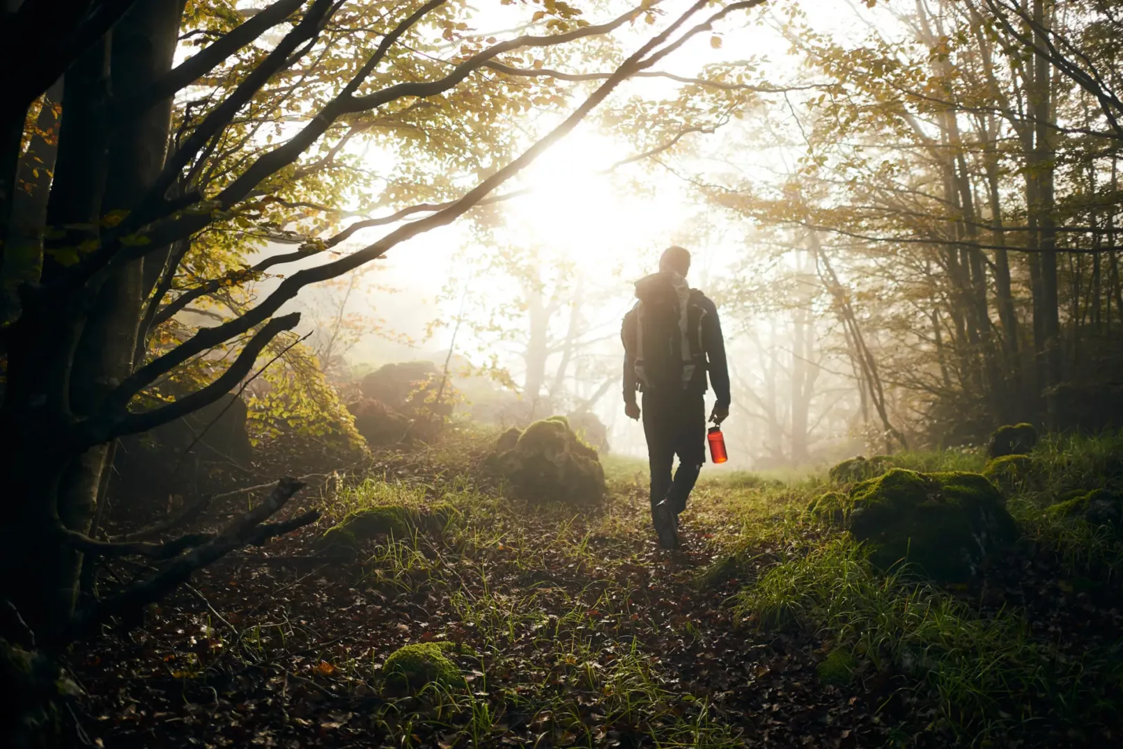 Portfolio Sport & Lifestyle del fotografo duzimage. Profilo di uomo in controluce nel bosco con zaino, borraccia, nebbia, luce suggestiva.